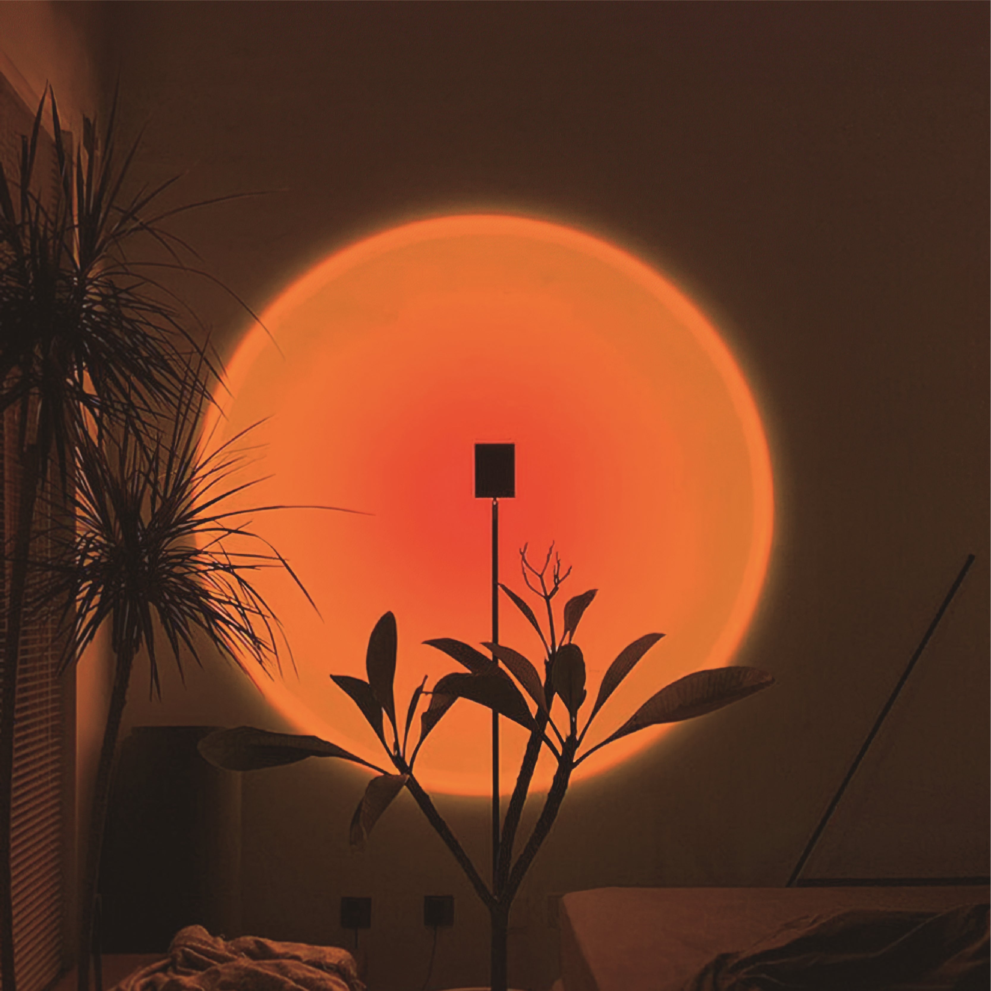 Table Lamps
